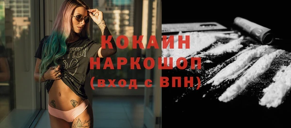 шишки Шарыпово