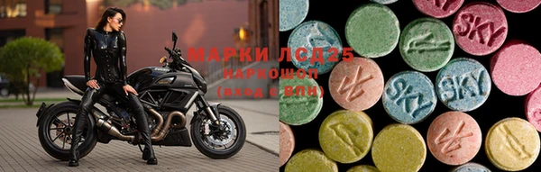 шишки Шарыпово