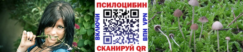 Купить  Сокол  Псилоцибиновые грибы мухоморы 